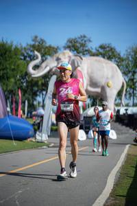 BIB: 
                            <button type="button" onclick="openModal(26542406)" class="btn btn-primary btn-sm float-right btn-popup" data-toggle="modal" data-target=".modal-high-quality">
                        <i class="fas fa-shopping-cart"></i> Add to Cart
                    </button>
                                            <button type="button" onclick="isThisMe(26542406, true)" class="btn btn-success btn-sm float-right btn-popup btn-isme hidden" data-toggle="tooltip" data-placement="bottom" title="นี่คือรูปของคุณใช่ไหม คลิกที่นี่เพื่อเอาเข้าอัลบั้ม">
                        <i class="fas fa-plus"></i> Add to album
                    </button>
                    <button type="button" onclick="isThisMe(26542406, false)" class="btn btn-warning btn-sm float-right btn-popup btn-isnotme hidden">
                        <i class="fas fa-ban"></i> Remove from album
                    </button>